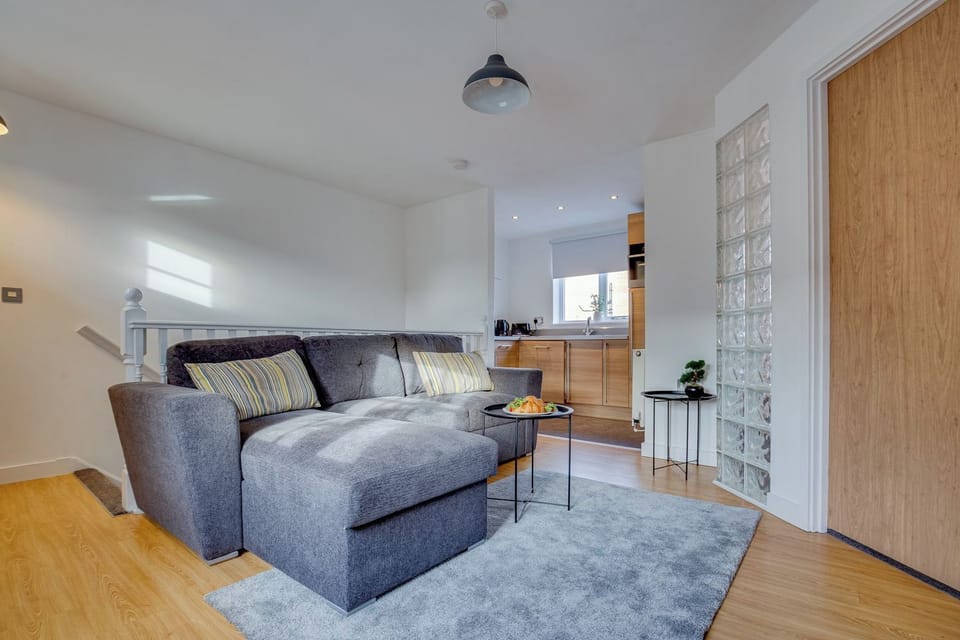 Classic Apartment, 1 King Bed with Sofa bed, Non Smoking | Living area