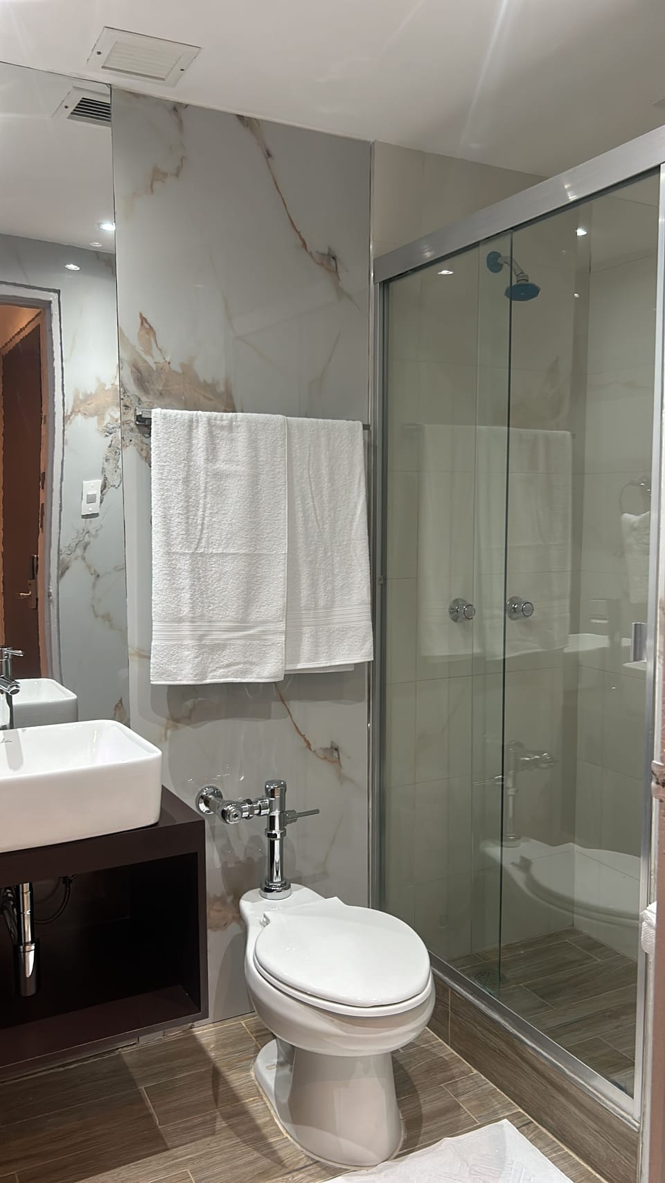 Deluxe Double or Twin Room, City View | Bathroom | Shower, towels, soap, shampoo