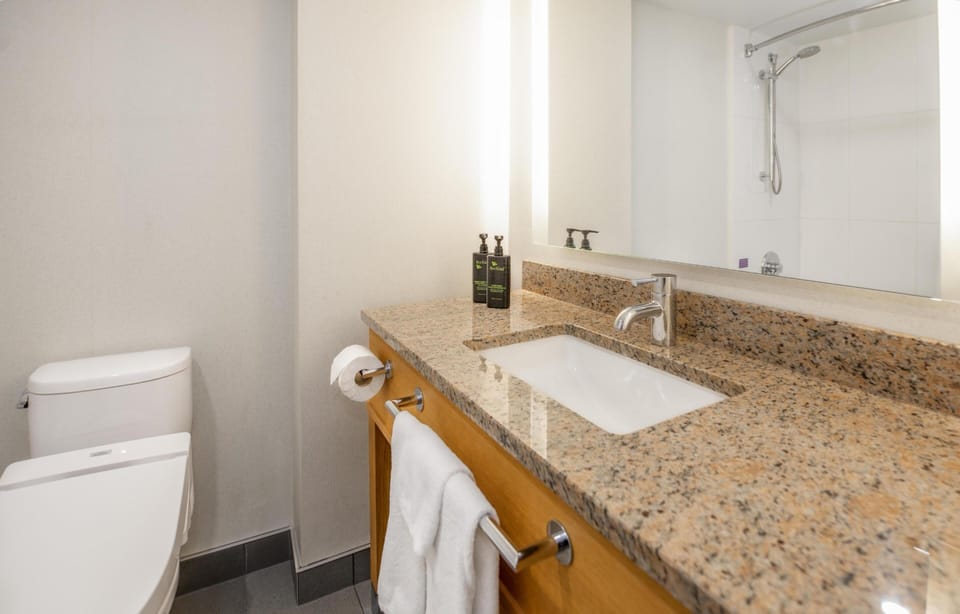 Room, 1 King Bed, Lake View (Coast King with Pond View) | Bathroom | Combined shower/tub, eco-friendly toiletries, hair dryer, slippers