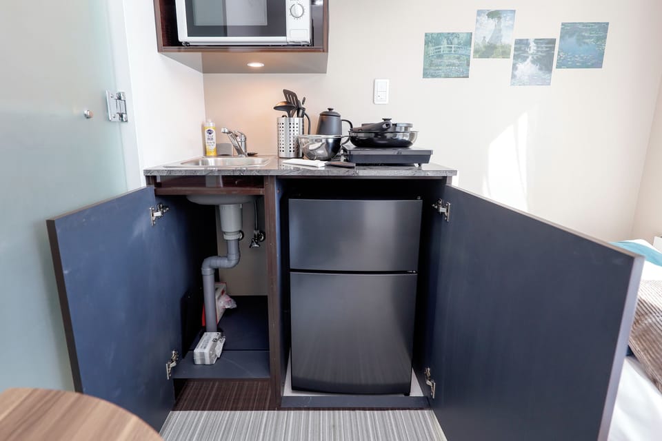 Mini-refrigerator
