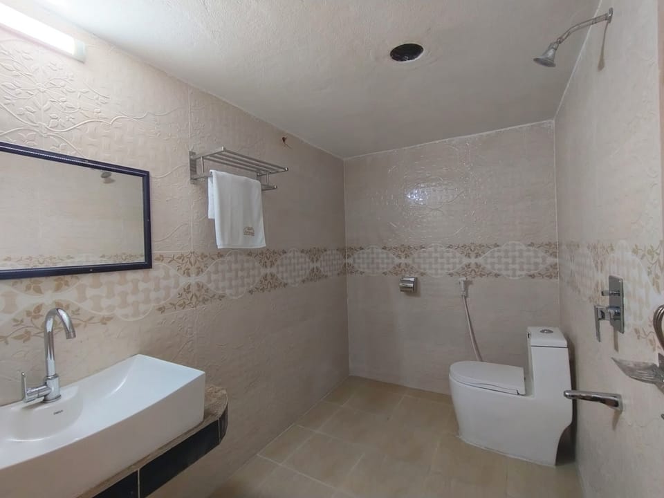 Towels, soap, shampoo, toilet paper