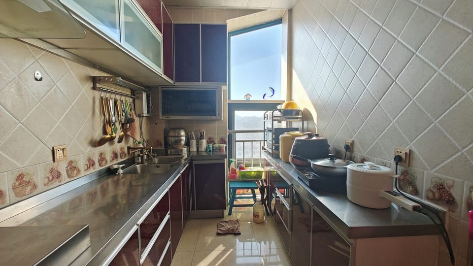 Fridge, oven, dishwasher, cookware/dishes/utensils
