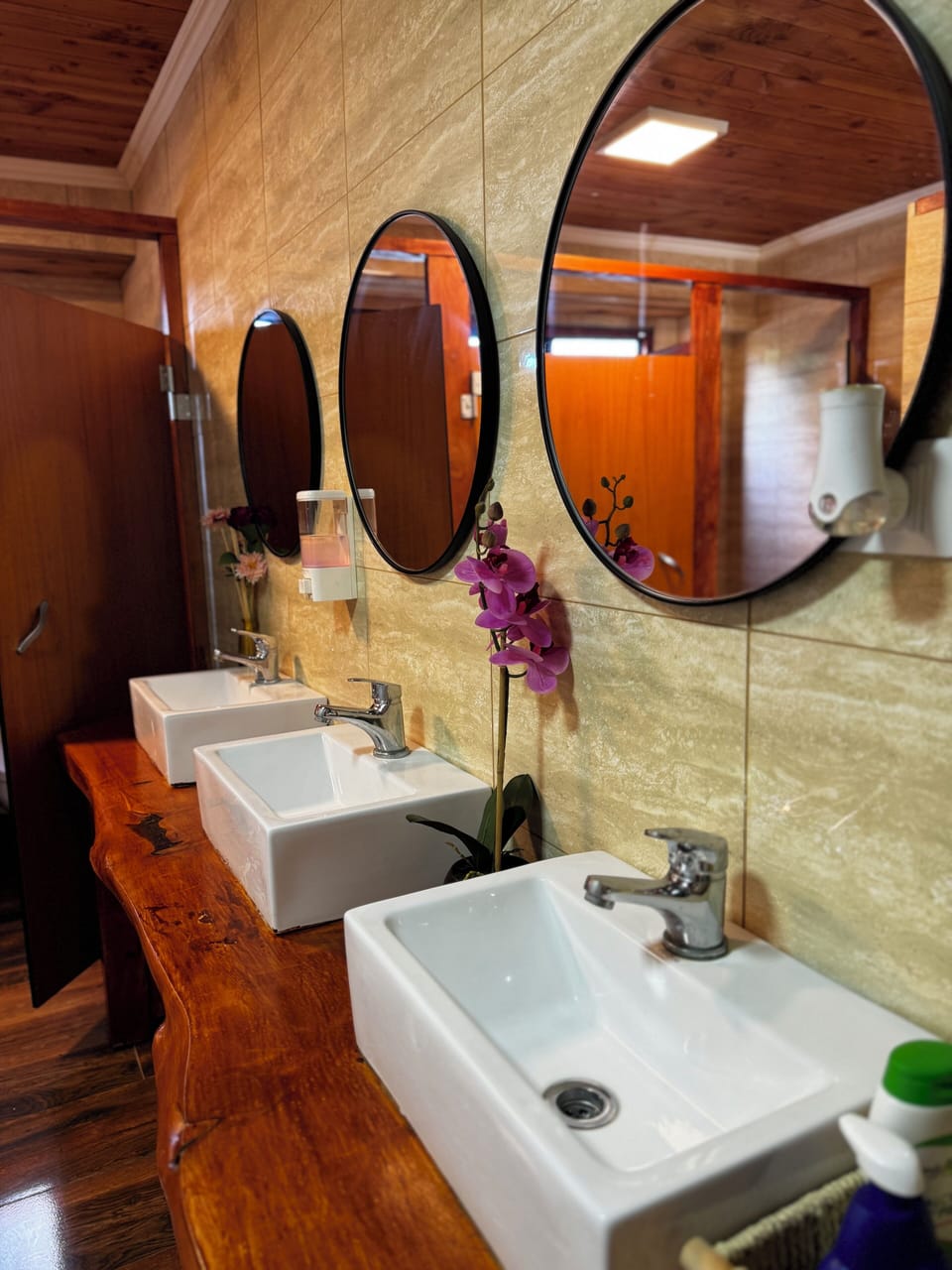 Combined shower/tub, hair dryer, soap, toilet paper