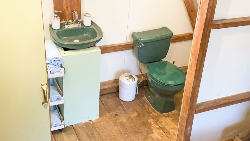 Classic Cabin, Mountain View | Bathroom | Shower, towels, soap, toilet paper