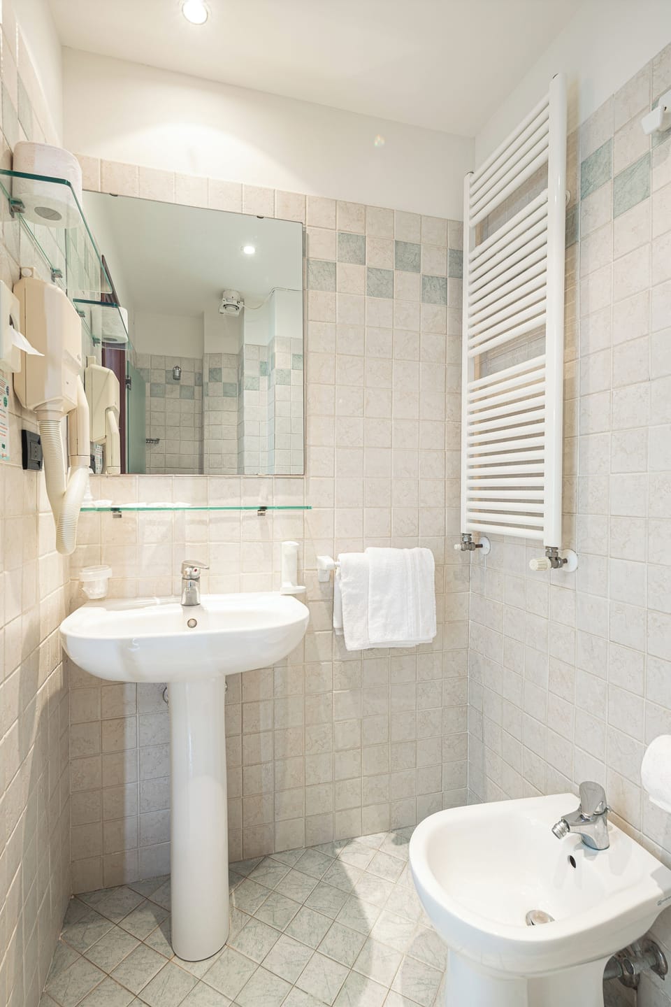 Shower, hair dryer, bidet, towels
