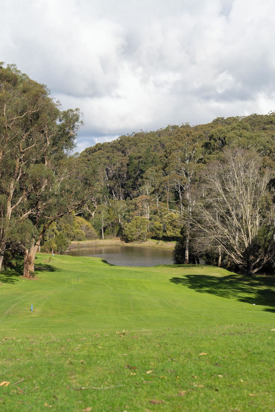 Mount Lofty Golf Course Bed and Breakfast in Stirling