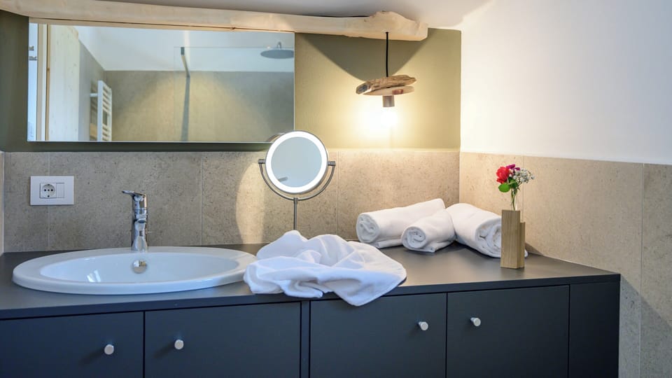 Shower, towels, toilet paper