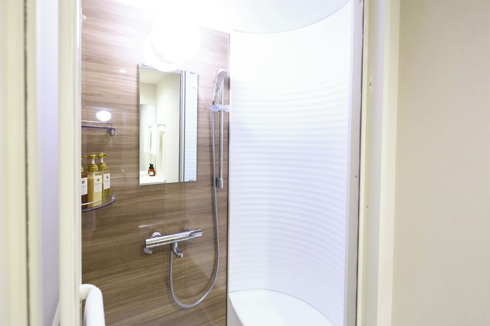 Shower, hair dryer, slippers, bidet