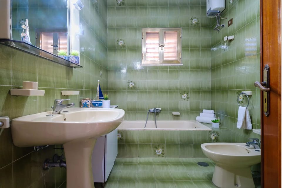 Shower, hair dryer, bidet