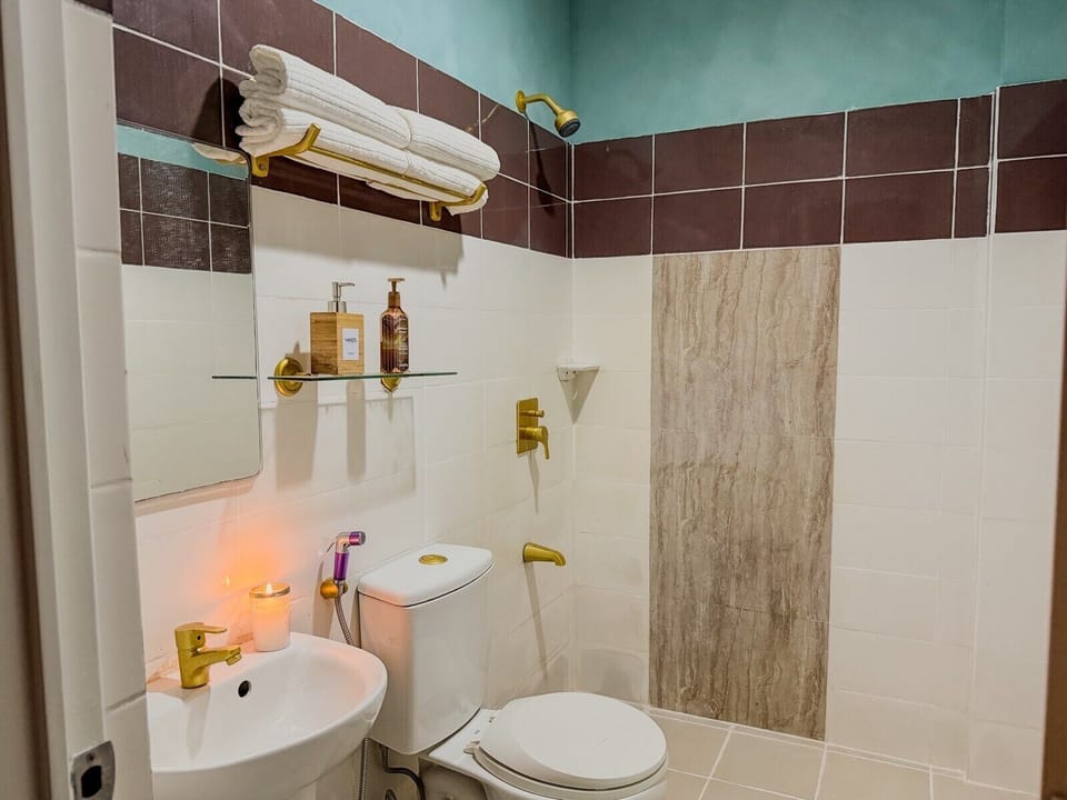 Shower, hair dryer, bidet, towels