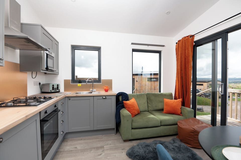 Fridge, dishwasher, electric kettle, toaster
