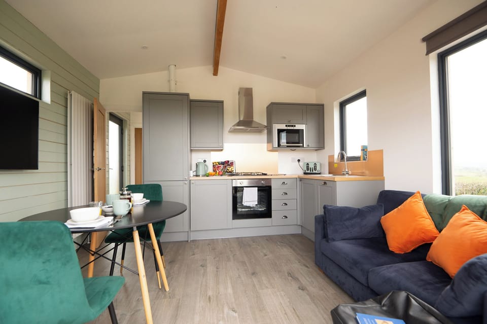 Fridge, dishwasher, electric kettle, toaster