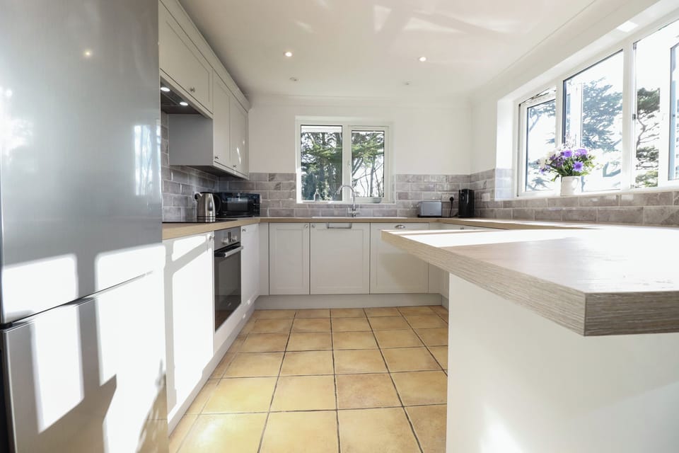 Fridge, dishwasher, electric kettle, toaster