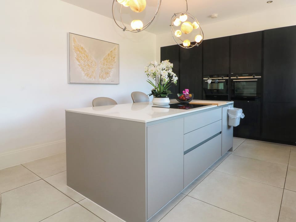 Fridge, dishwasher, cookware/dishes/utensils