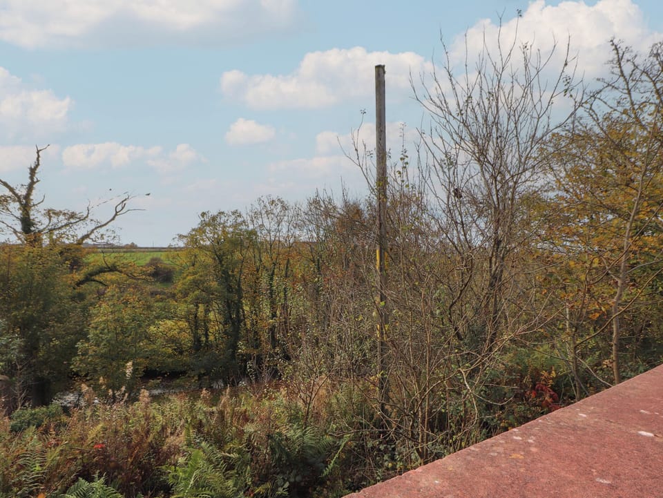 Cottage | Miscellaneous