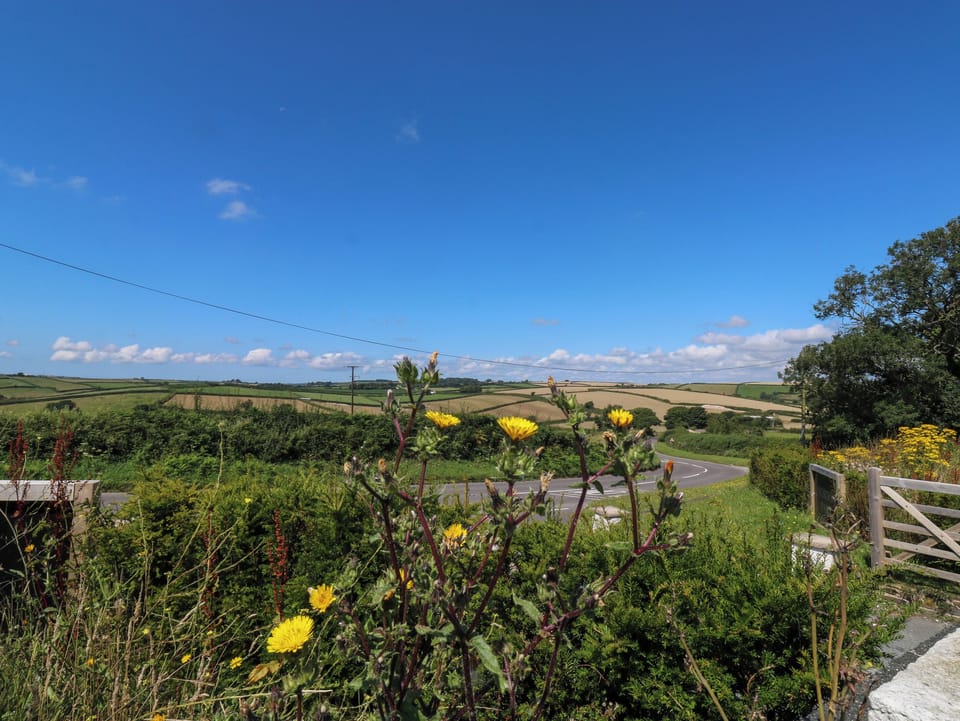 Miscellaneous