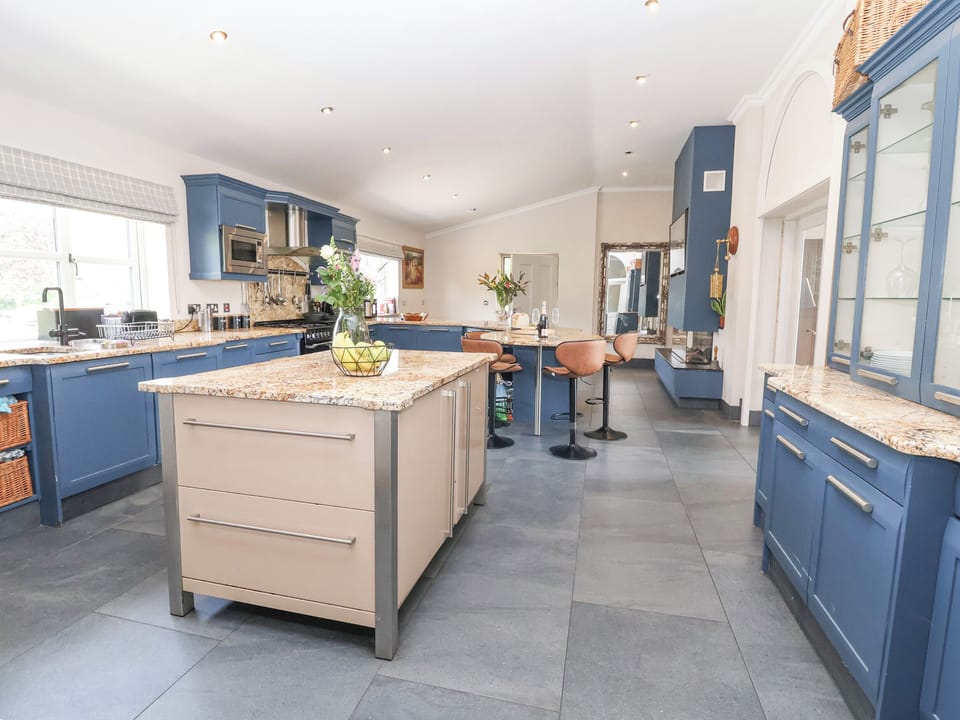 Fridge, dishwasher, cookware/dishes/utensils
