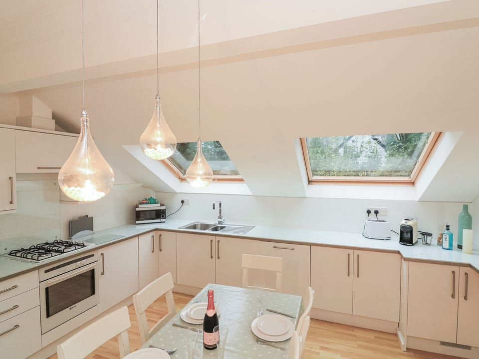 Fridge, dishwasher, cookware/dishes/utensils