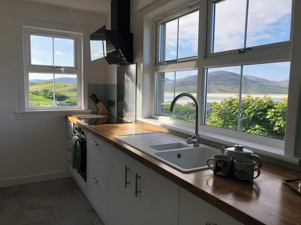 Fridge, dishwasher, electric kettle, toaster