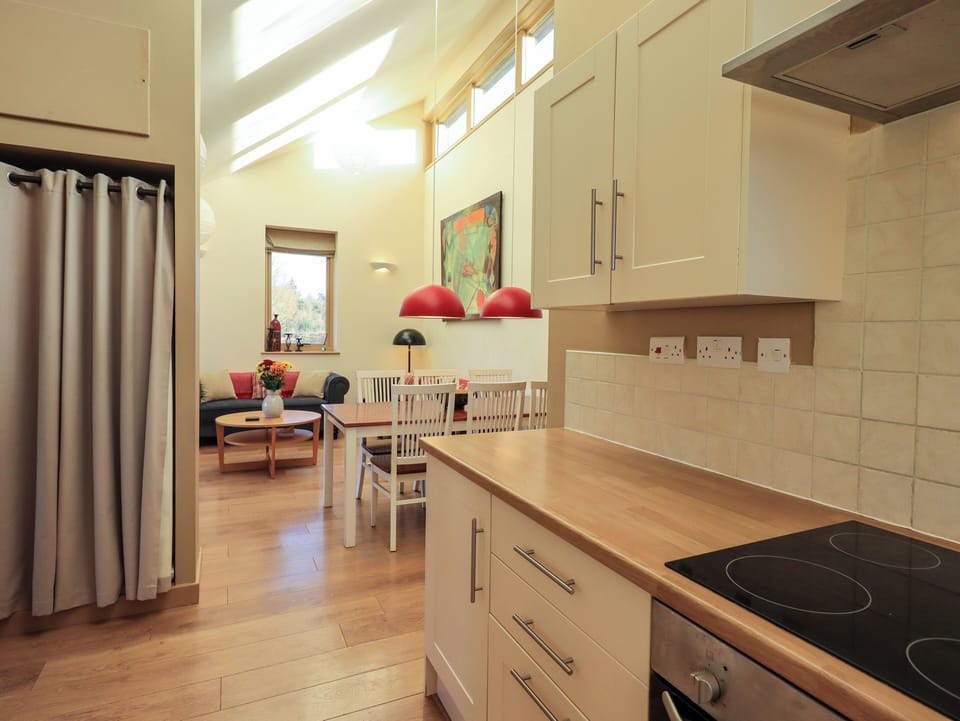 Fridge, dishwasher, electric kettle, toaster