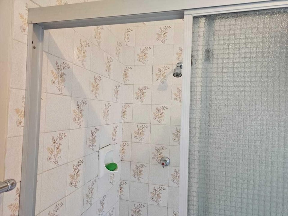 Bathtub, bidet, towels, soap