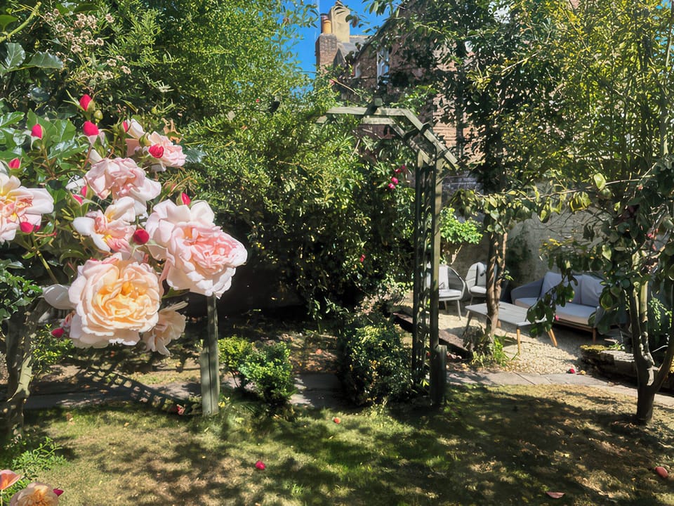 Cottage | Property grounds