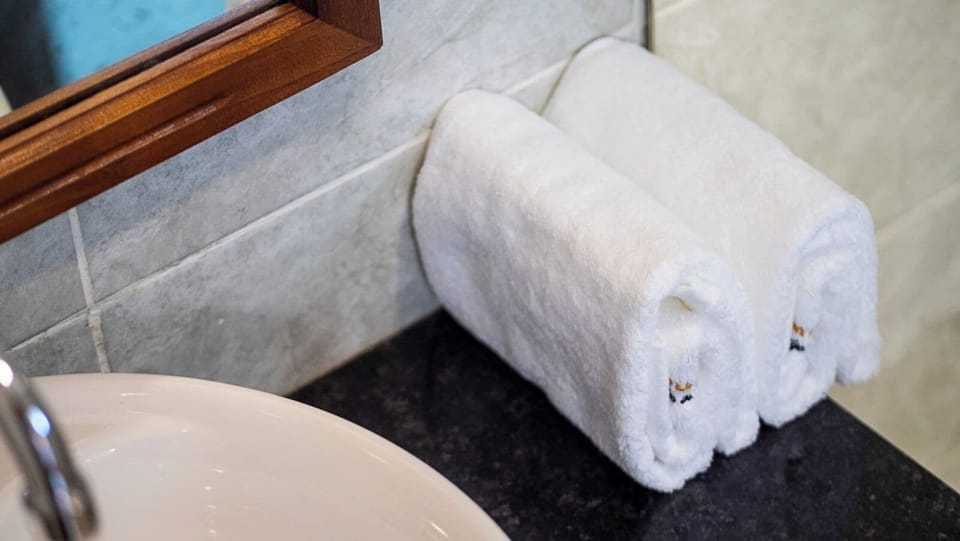 Deluxe Double Room, Balcony, Hill View | Bathroom | Shower, soap, shampoo, toilet paper