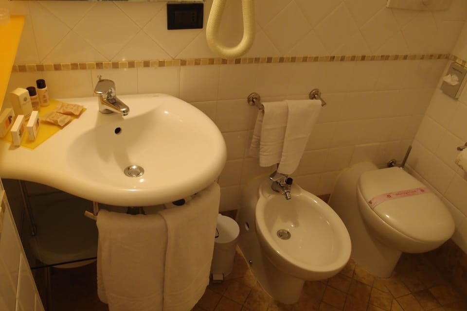 Shower, free toiletries, hair dryer, slippers