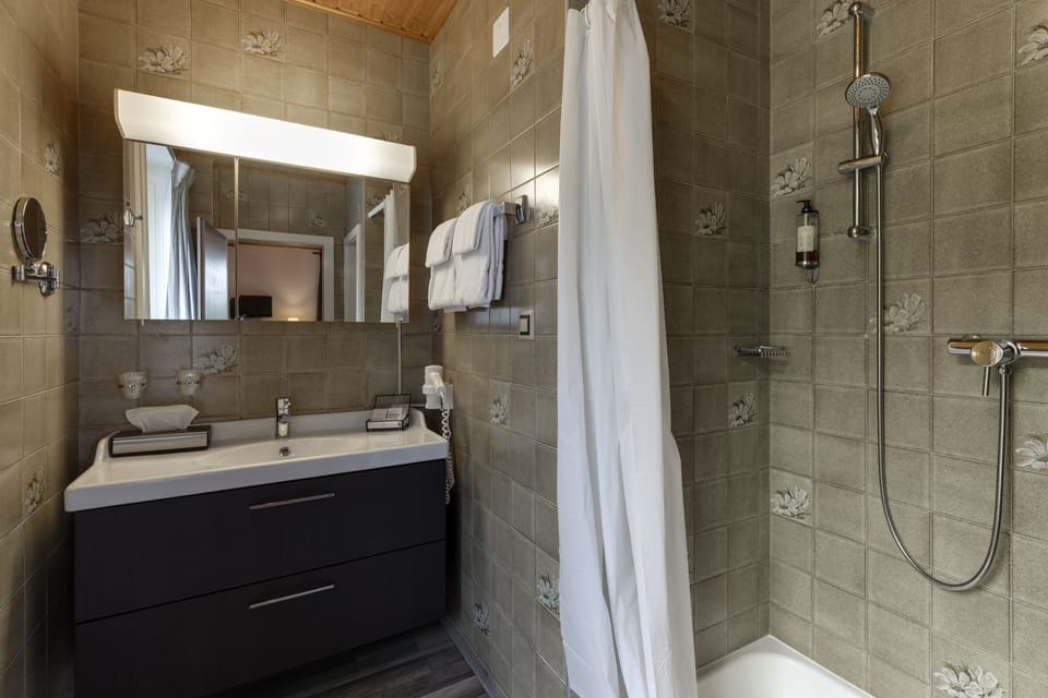 Economy Double or Twin Room | Bathroom | Free toiletries, hair dryer, towels