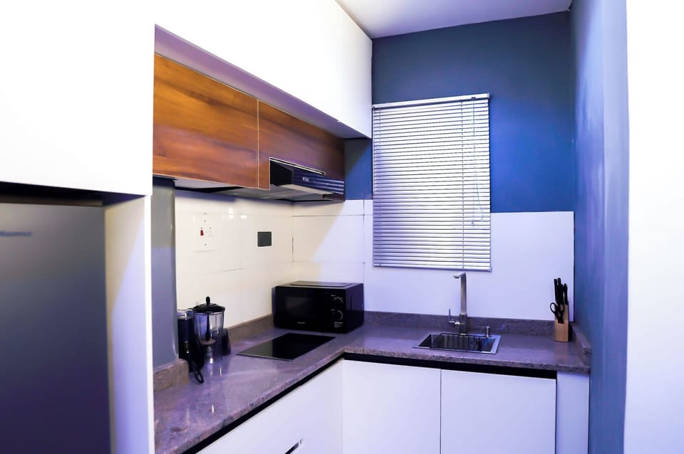 Economy Apartment, Balcony, City View | Private kitchen | Fridge, microwave, oven, stovetop