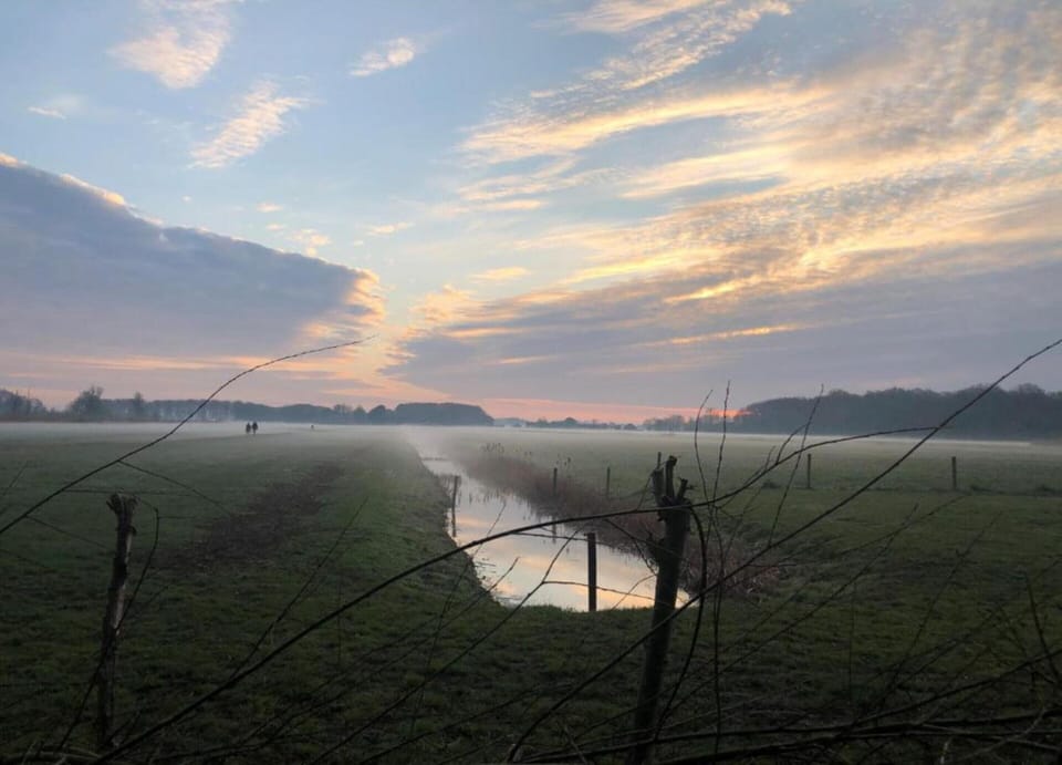 Apartment | View from property