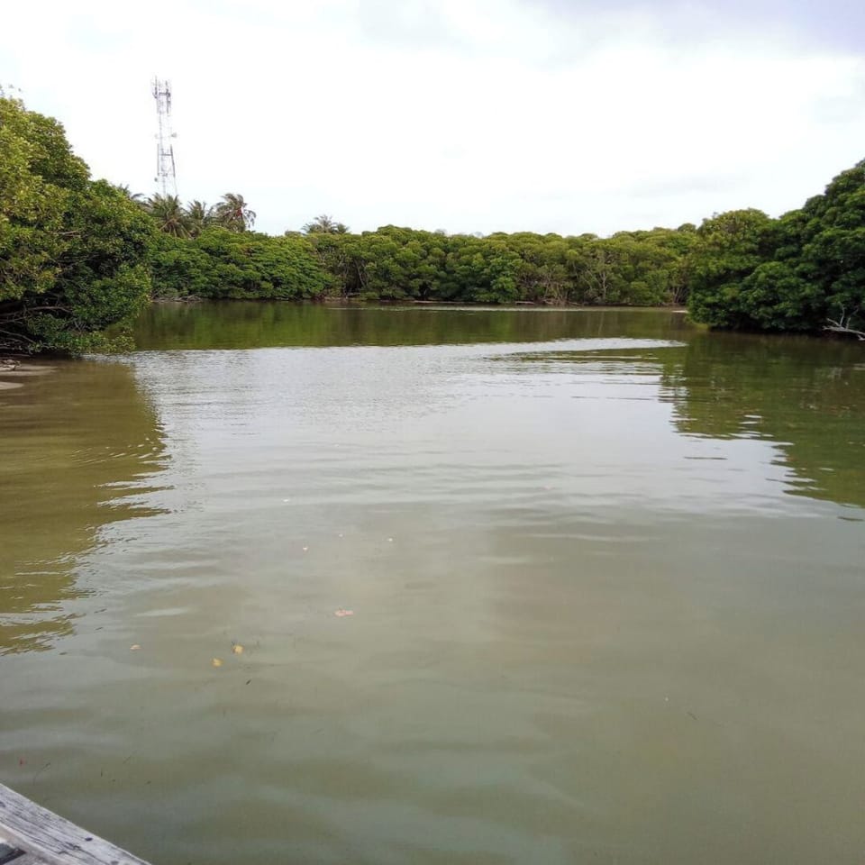 Lake view