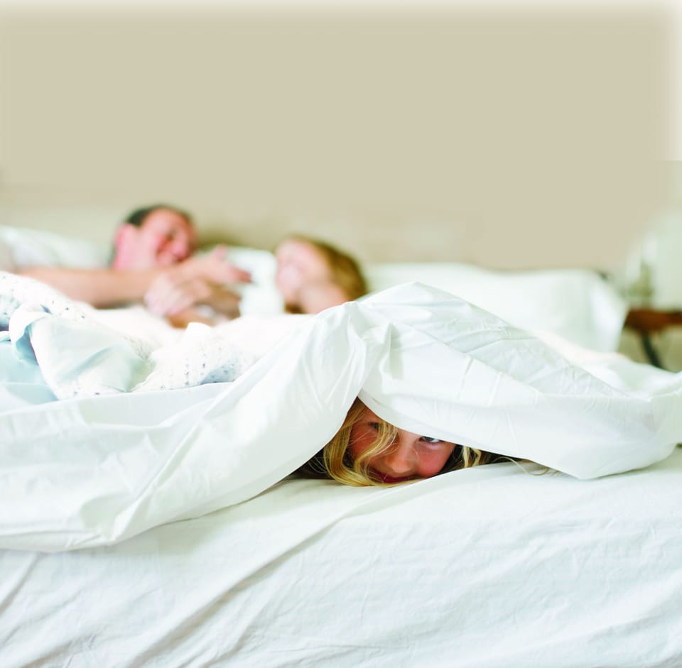 Room, 1 King Bed, Non Smoking | Desk, iron/ironing board, cribs (free), rollaway beds (surcharge)