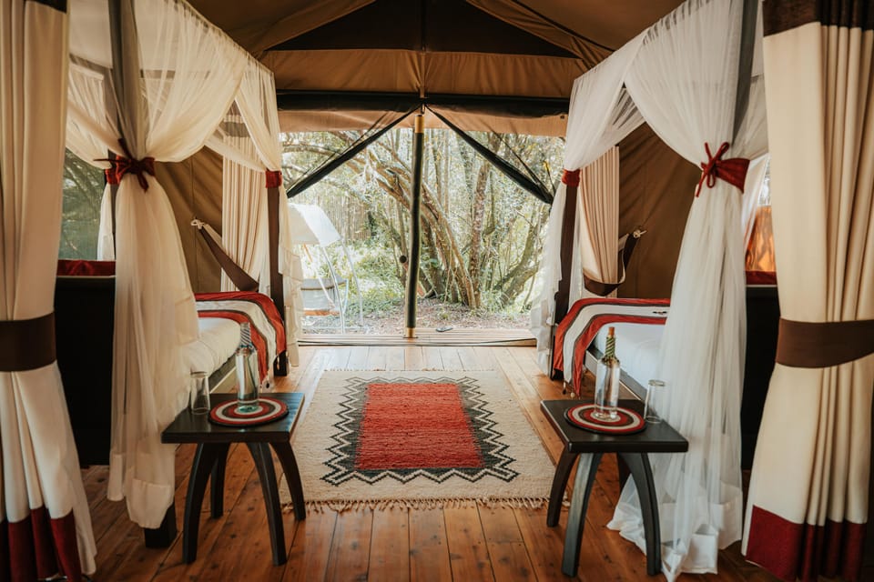Family Tent, Mobility Accessible, River View | View from room