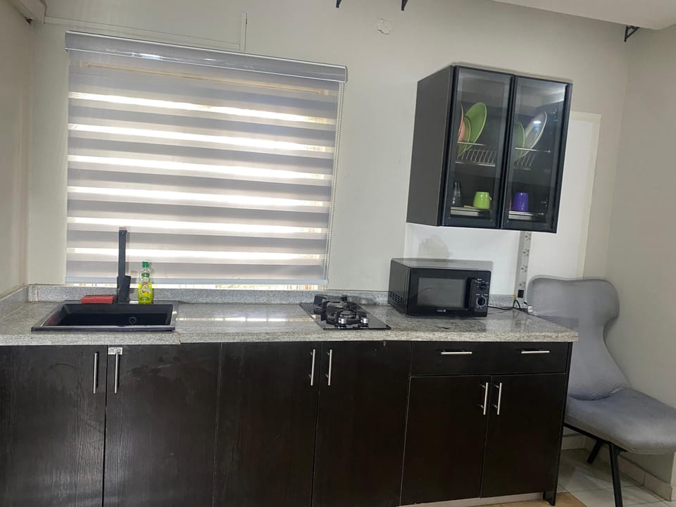 Basic Studio | Private kitchen | Microwave