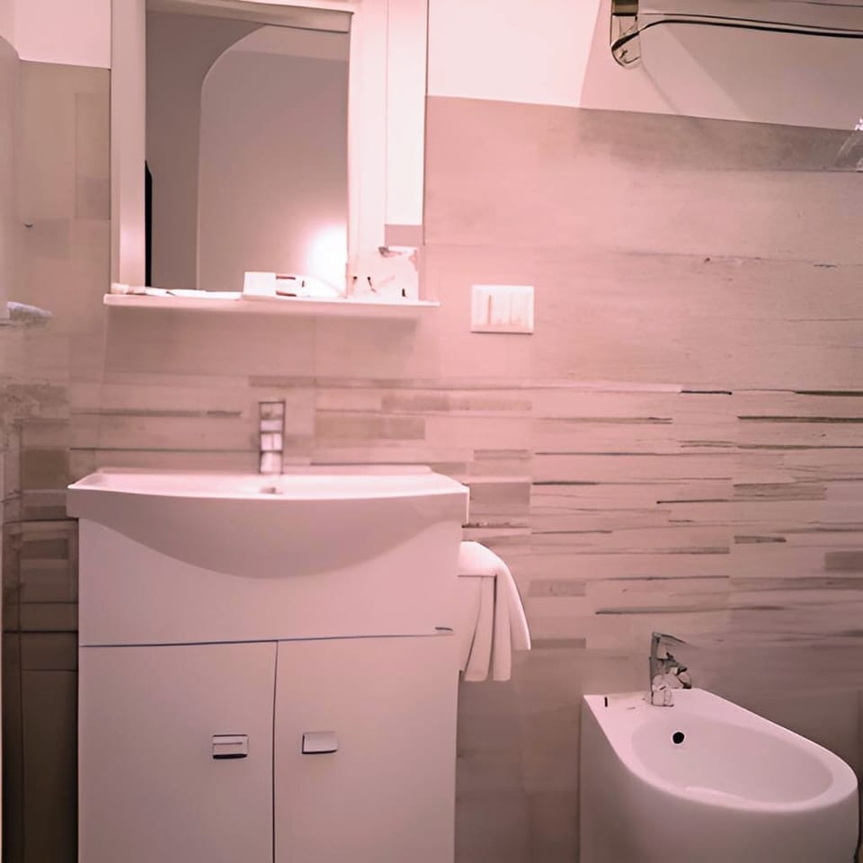 Hair dryer, bidet, towels, soap