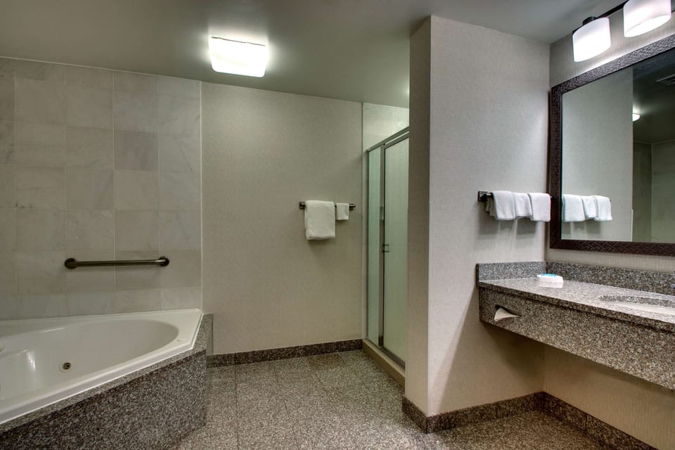 Combined shower/tub, free toiletries, hair dryer, towels