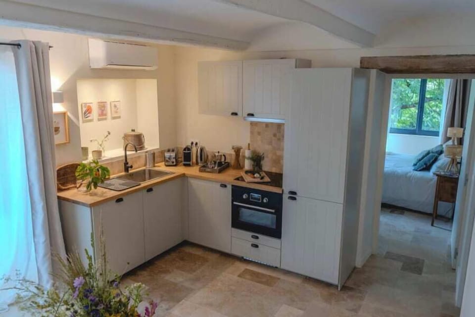 Premium Apartment, Kitchen, Courtyard View | Private kitchen | Fridge, microwave, oven, stovetop