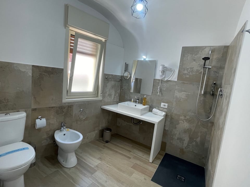 Shower, hair dryer, bidet, towels