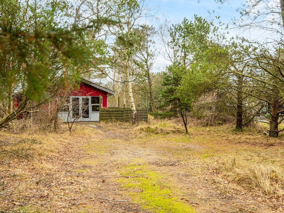 House | View from property