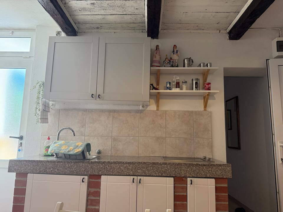 Apartment, Patio, Garden View | Private kitchen | Fridge, stovetop, dishwasher, cookware/dishes/utensils