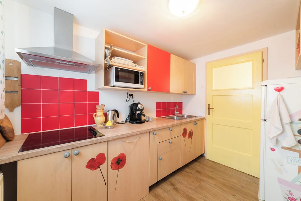 Classic Apartment, Patio | Private kitchen | Toaster