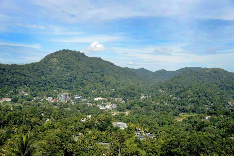 View from property