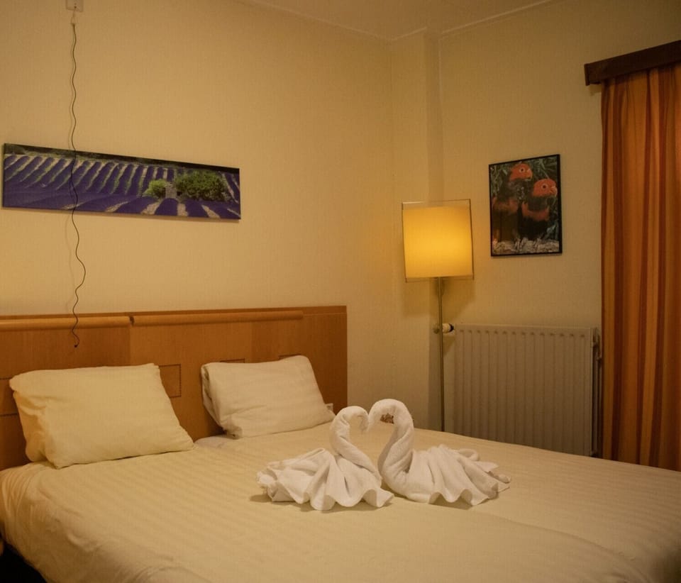 Standard Double Room | WiFi (free), bed sheets