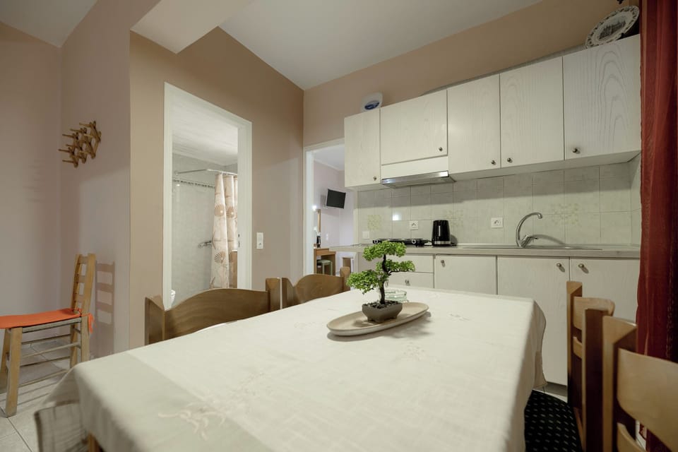 Family Apartment | Private kitchenette | Electric kettle, toaster, cookware/dishes/utensils