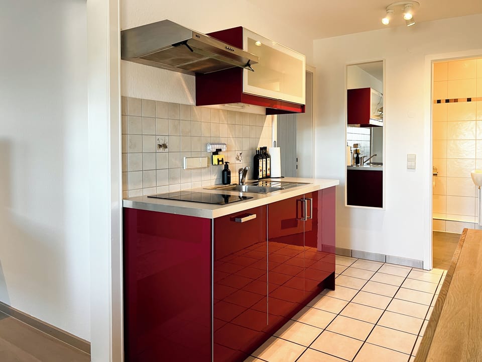 Panoramic Apartment, Lake View | Private kitchen | Toaster, highchair, cleaning supplies, paper towels