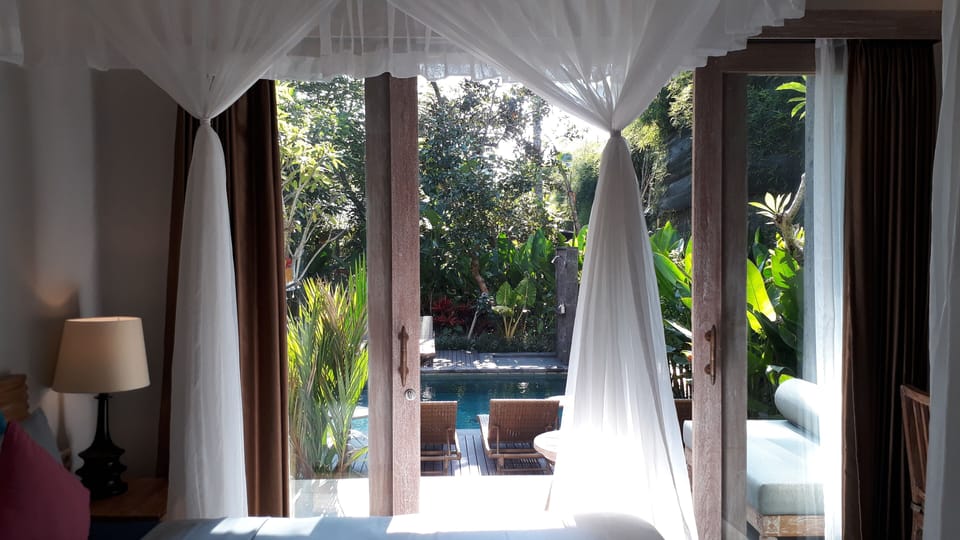 Deluxe Room | View from room