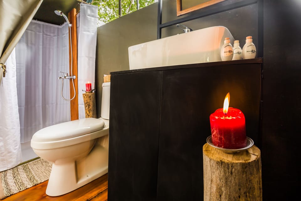 Shower, free toiletries, bidet, towels