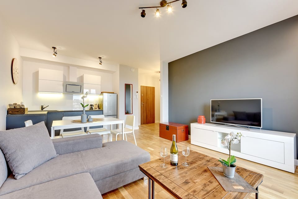 Comfort Apartment, 1 Bedroom ((4 Adults, Jaglana 6B Street) 49) | Living room | Flat-screen TV