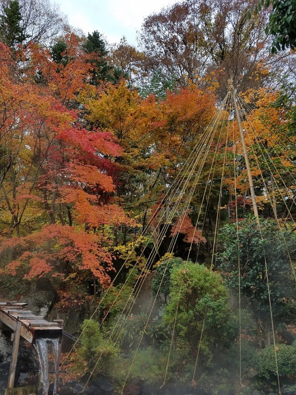 Hot springs